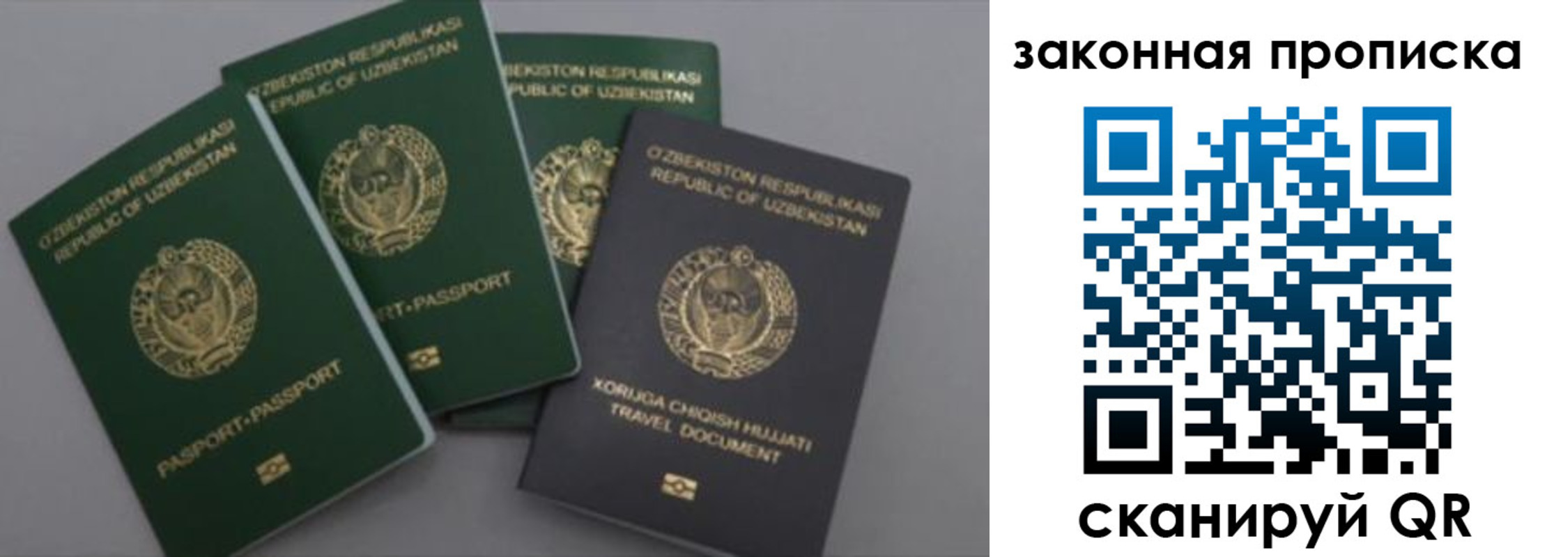 прописка законно в Ярославской области